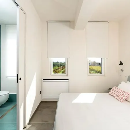 Martina's Vineyard - Marsala