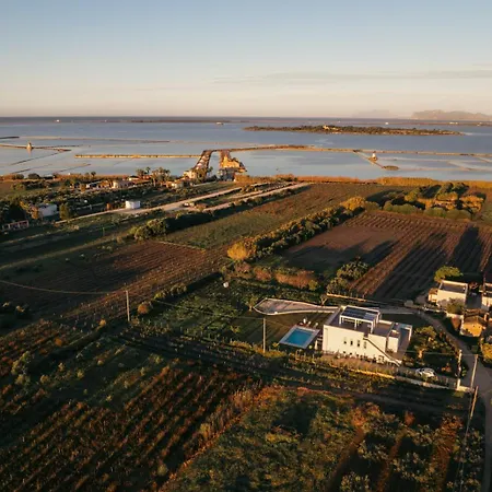 Martina's Vineyard - Marsala