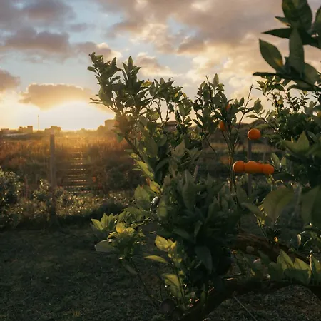 Martina's Vineyard - Gæstehus