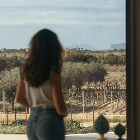 Martina's Vineyard - Marsala