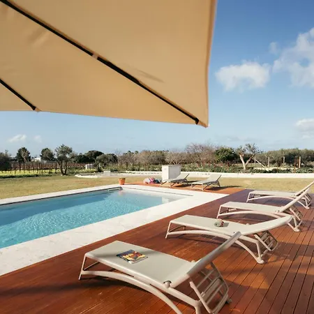 Martina's Vineyard -