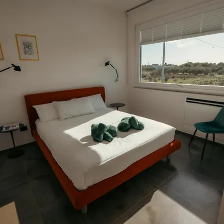 Martina's Vineyard -